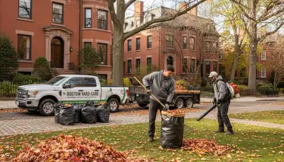 Technicians performing fall leaf removal and yard clean up at a Boston, MA residential property
