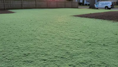 Fresh green hydroseed coating on prepared soil for new lawn installation in Boston, MA